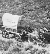 House Care, Model Covered Wagons, and Other Business Startups